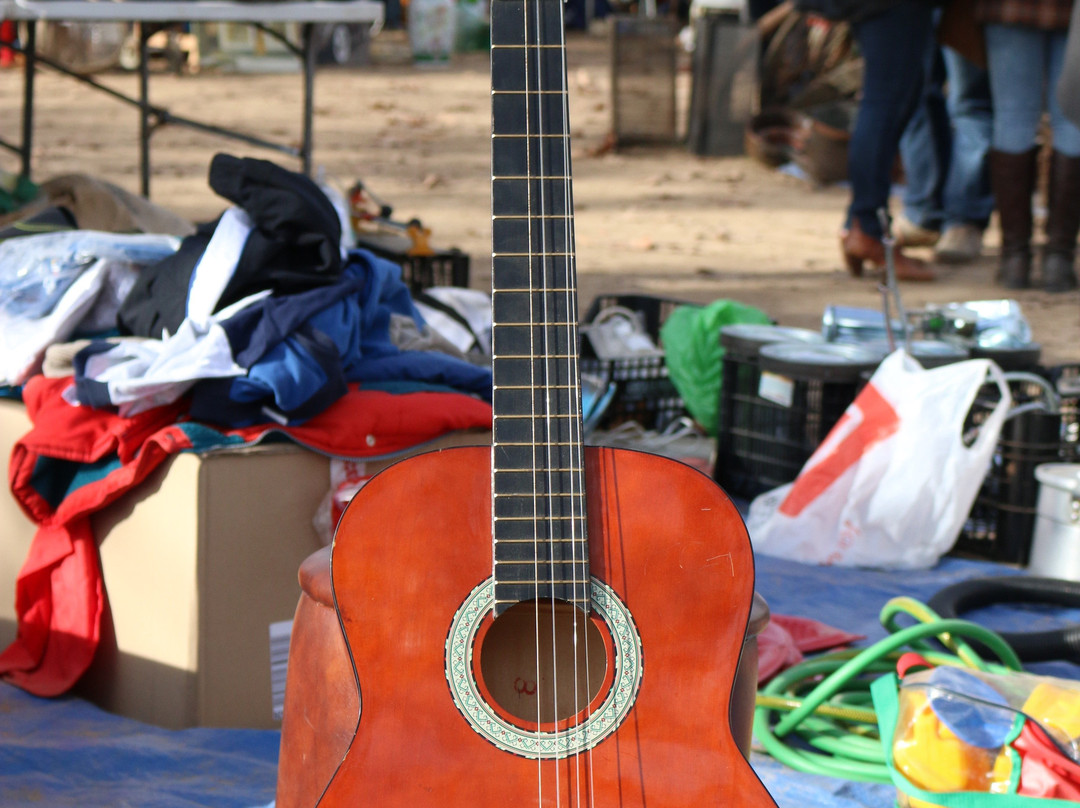 Mercat de Segona Ma, Brocante i Col-leccionisme de Celra景点图片