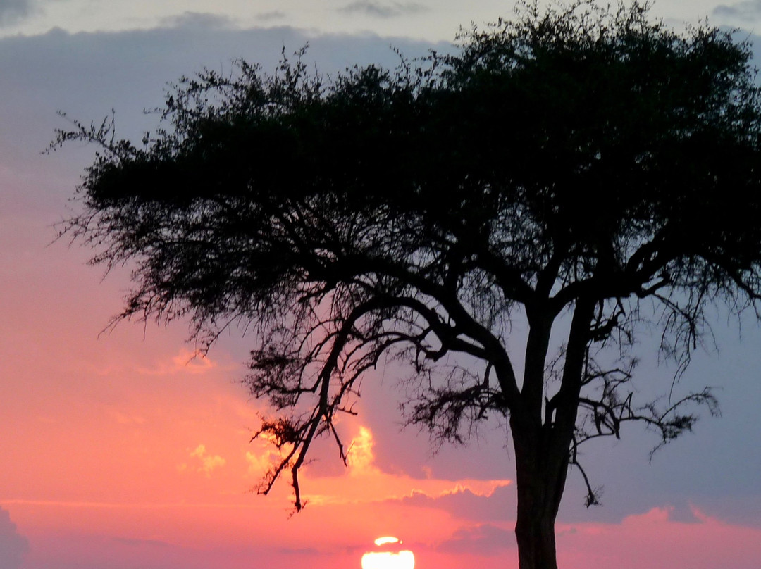 博里尼马拉营地旅馆主图