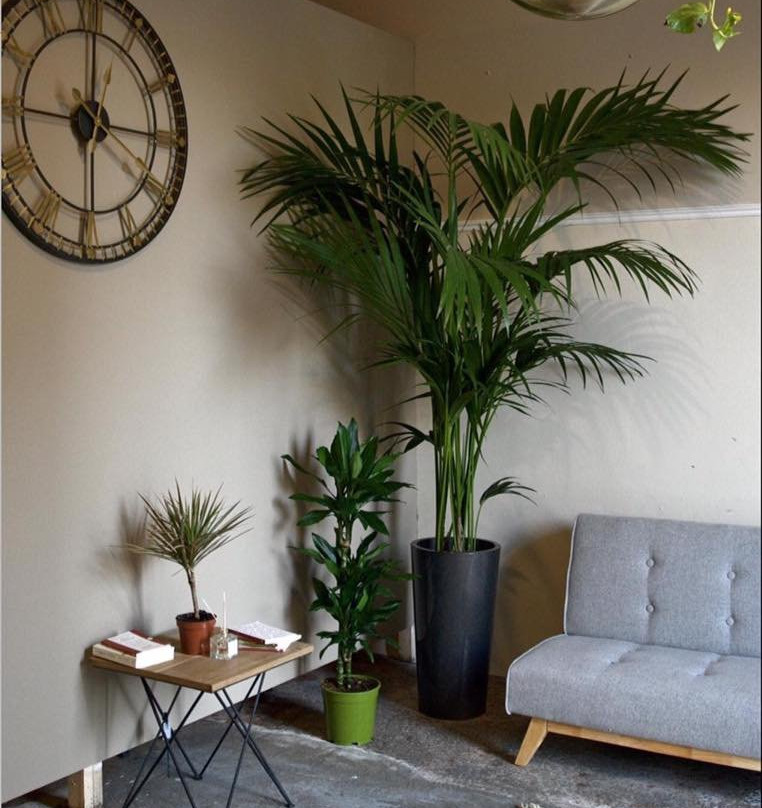 Art Classes Malta-Qormi必去景点