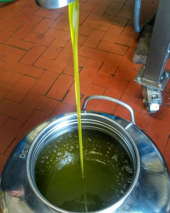 Il Poggiale B&B Poggio a Caiano主图