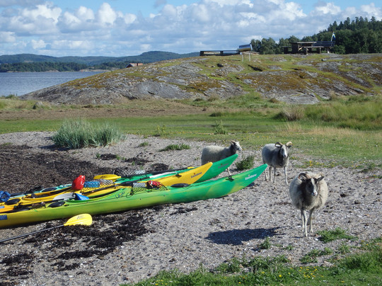 Kayak in Grundsund-Grundsund必去景点