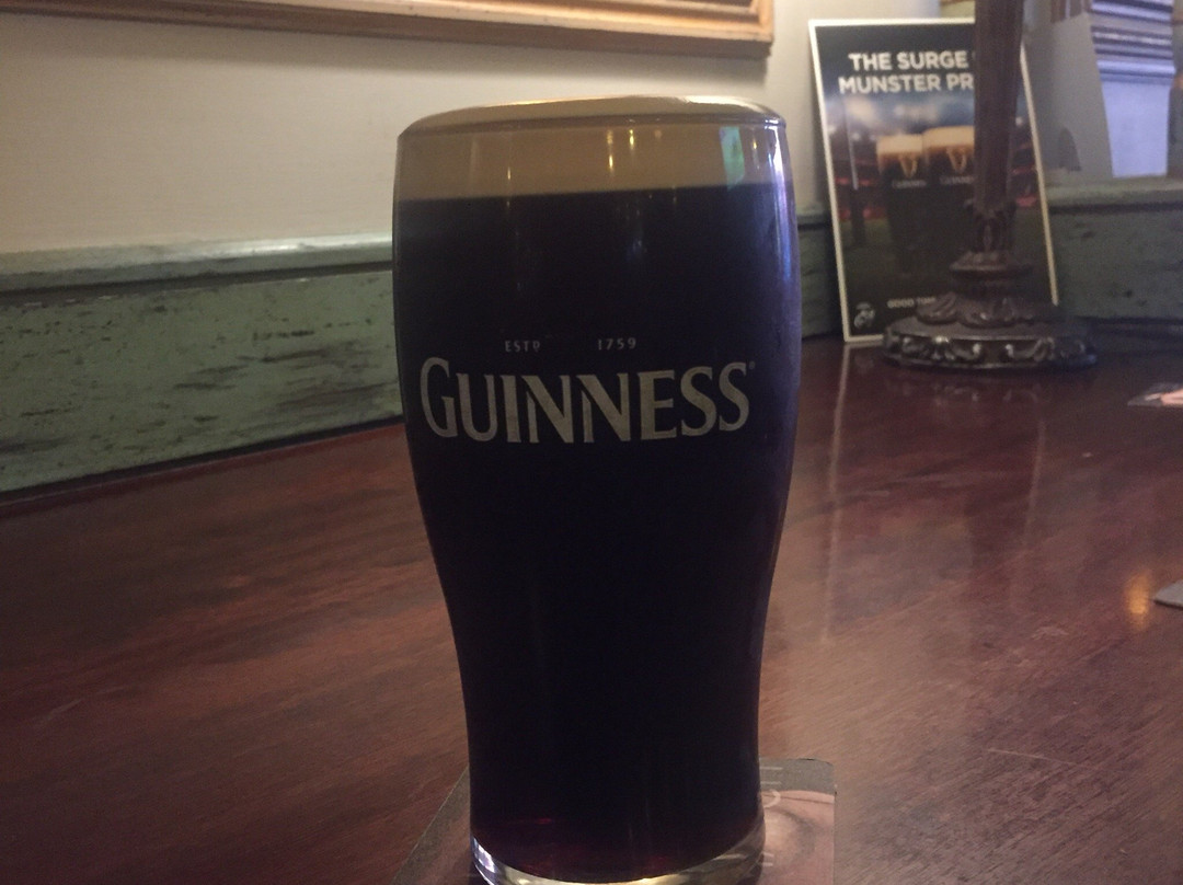 W.J. South's Pub-利默里克必去景点