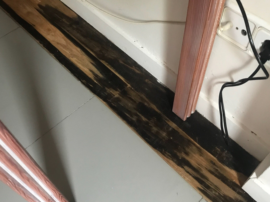 Los Arces de Isla主图