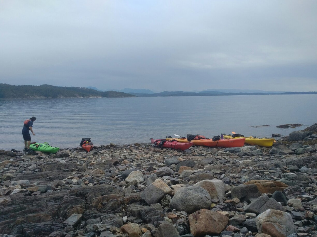 Quadra Island Kayaks - Day Tours景点图片