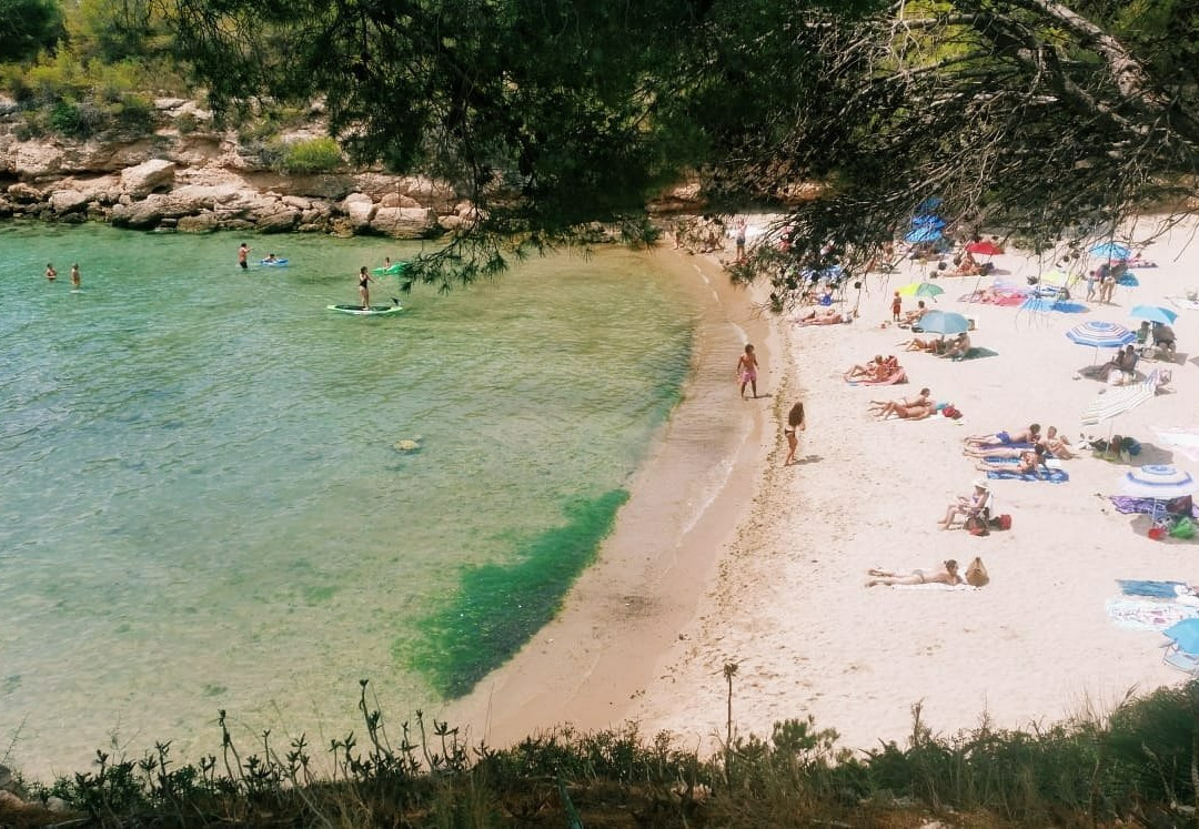 Platja Calafató景点图片