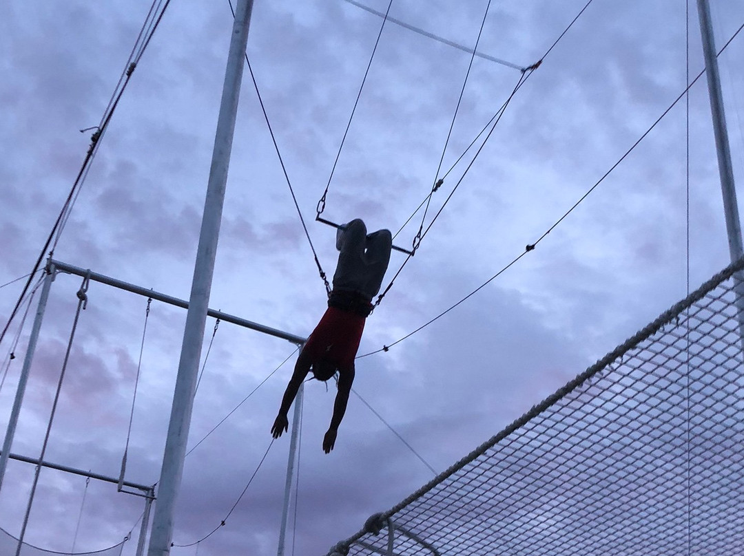 Miami Flying Trapeze-North Miami必去景点