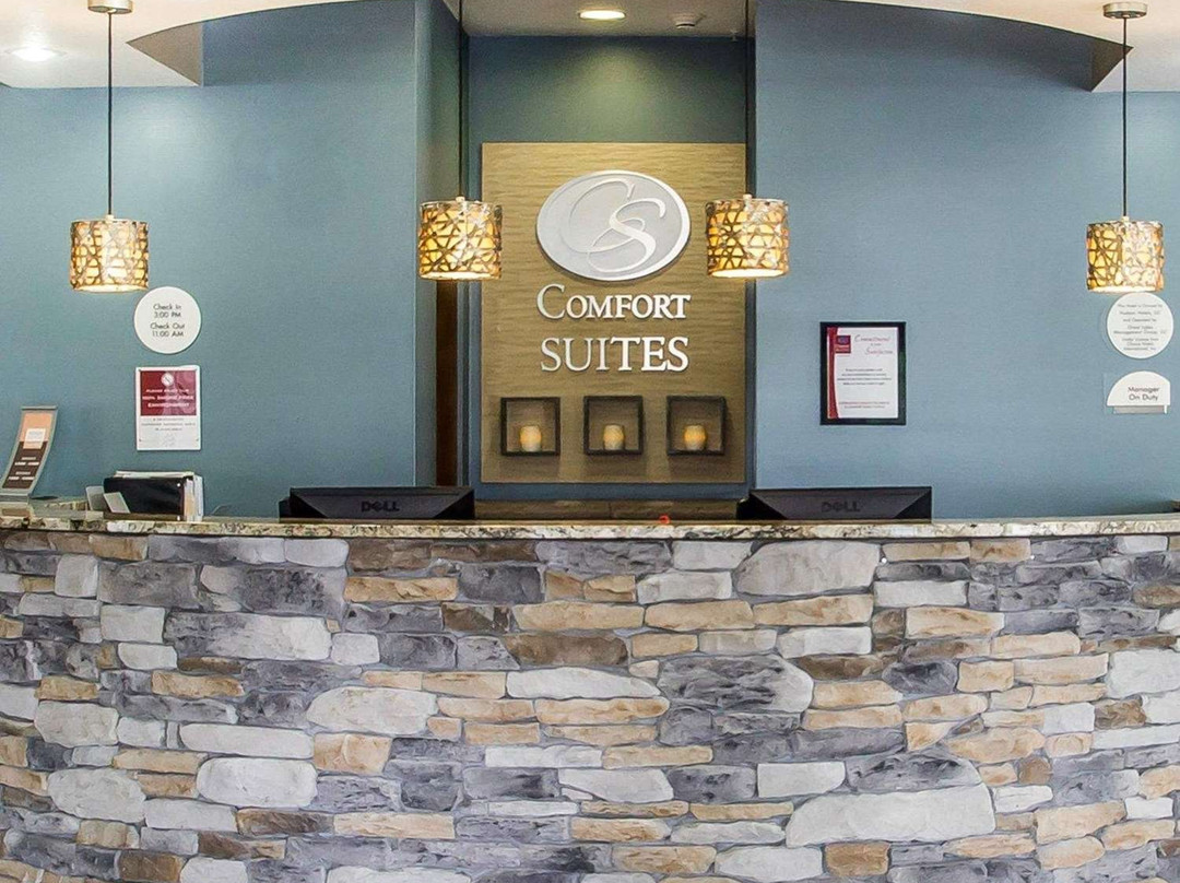 Comfort Suites Hudson I-94主图