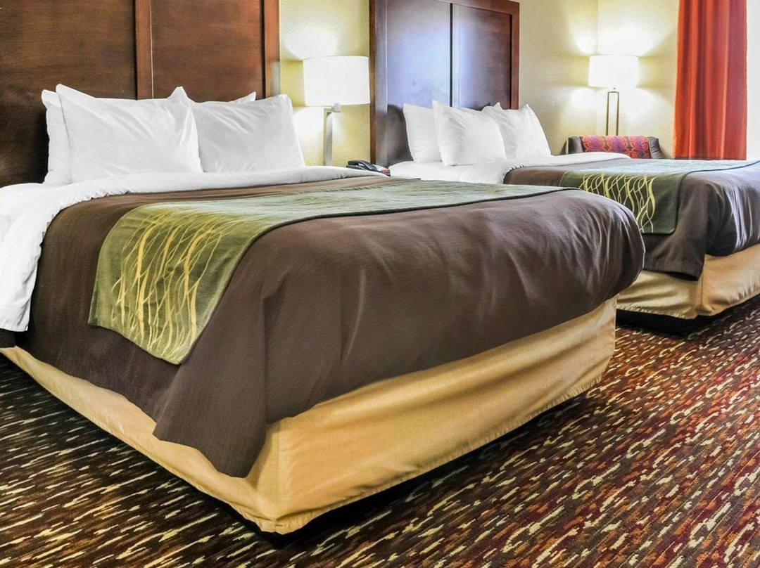 Comfort Inn & Suites主图