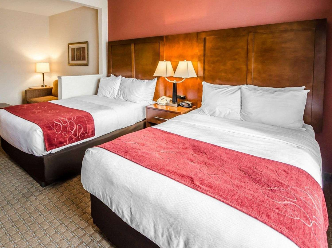 Comfort Suites主图