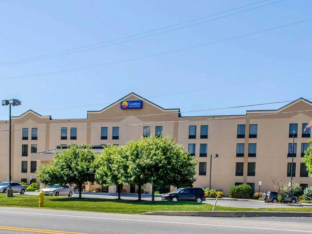 Comfort Inn & Suites主图