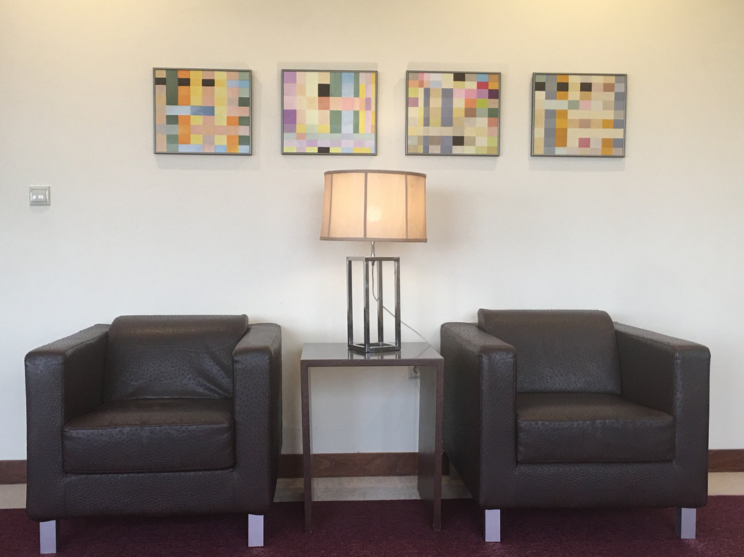 Hotel SJ Tondela主图