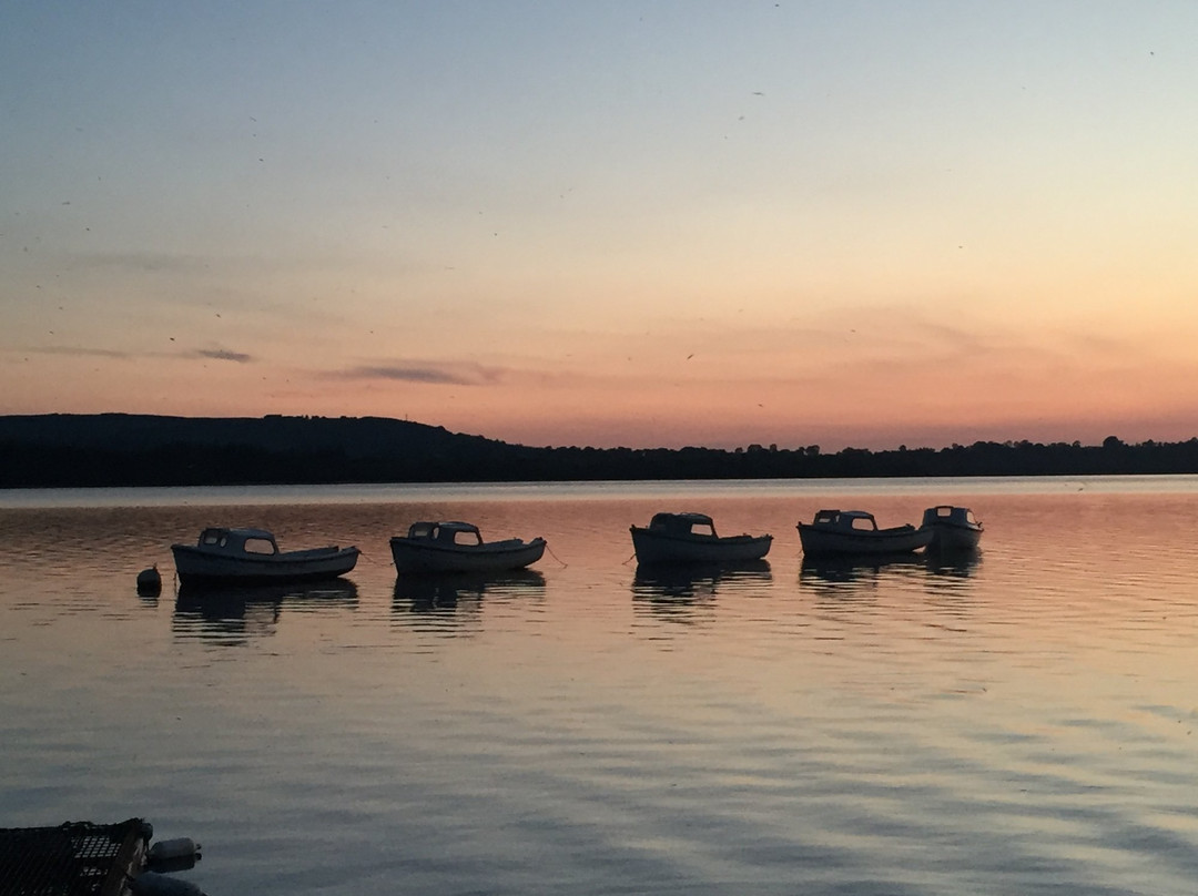 Blessington Lake Boat Hire-Ballyknockan必去景点