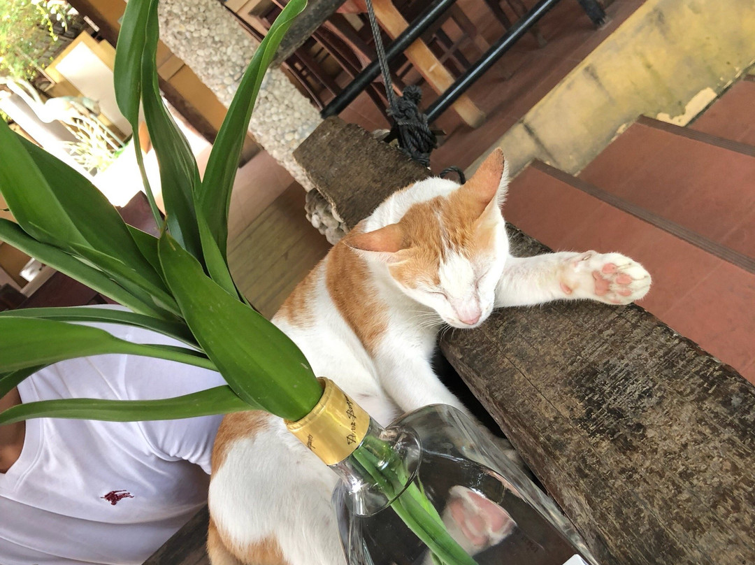 普吉弗罗拉维尔度假村主图