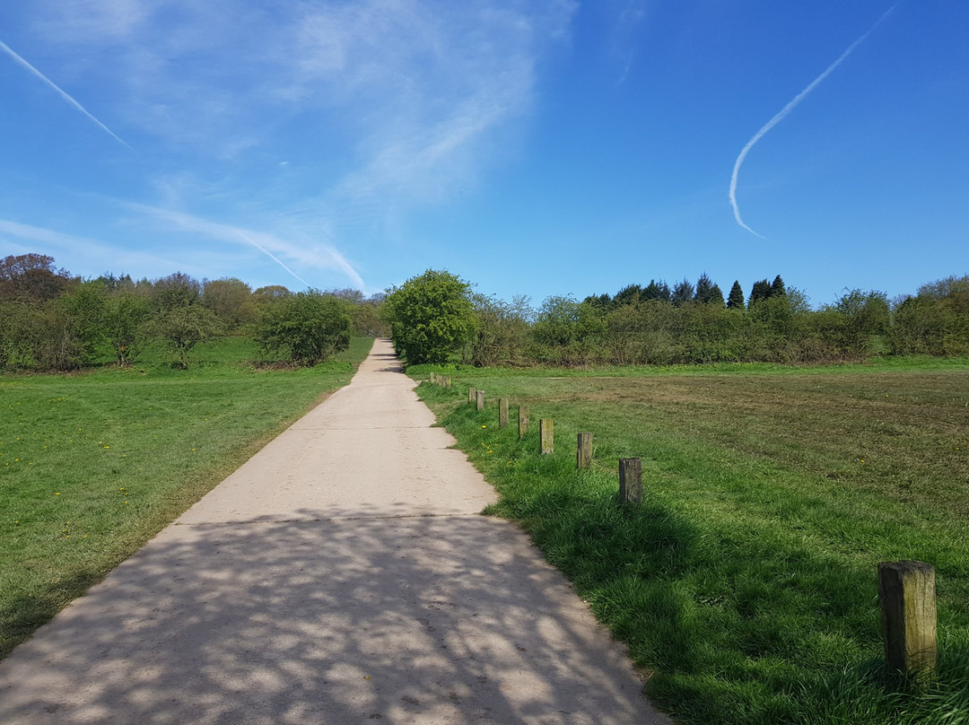 Harrogate Ringway-哈罗盖特必去景点