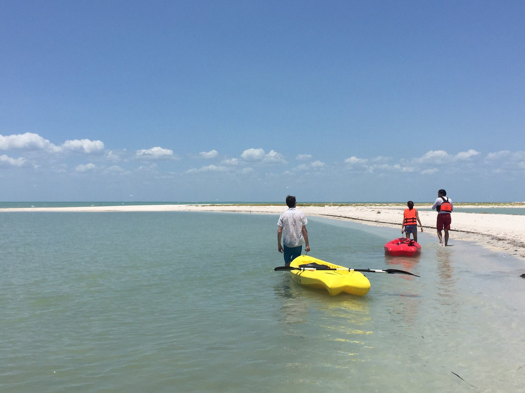 Agencia Palo de Tinte y Servicios-卡门城必去景点