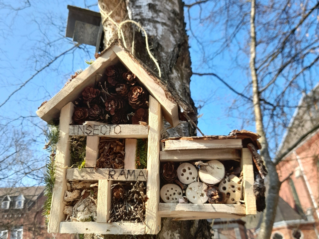Hôtel À Insectes
