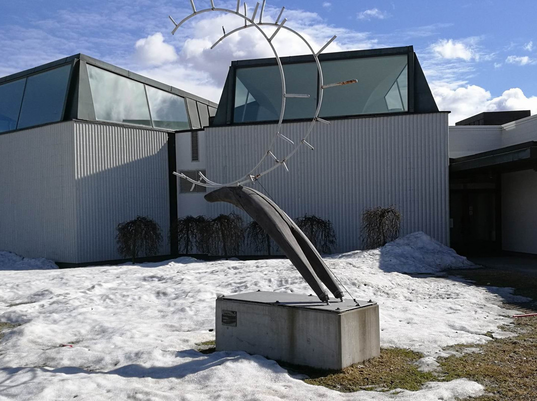 Rovaniemi City Library-罗瓦涅米必去景点