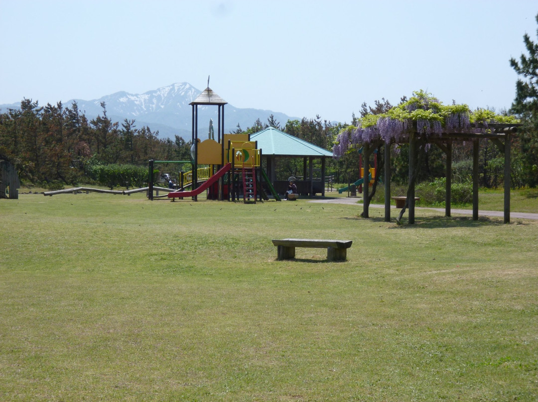 Kaigan Park景点图片