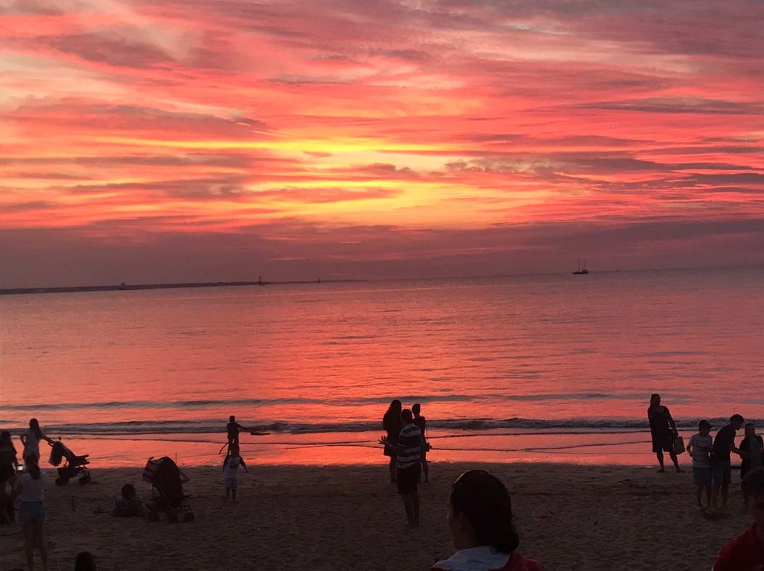 Litchfield Tours-达尔文市必去景点