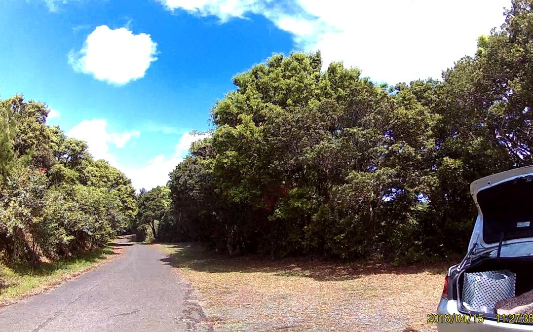 Minokoshi Coast-土佐清水市必去景点