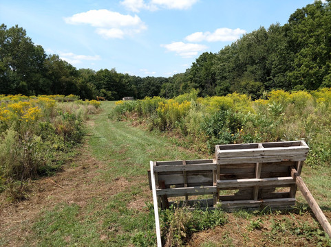 DarkFire Airsoft-Coldwater必去景点