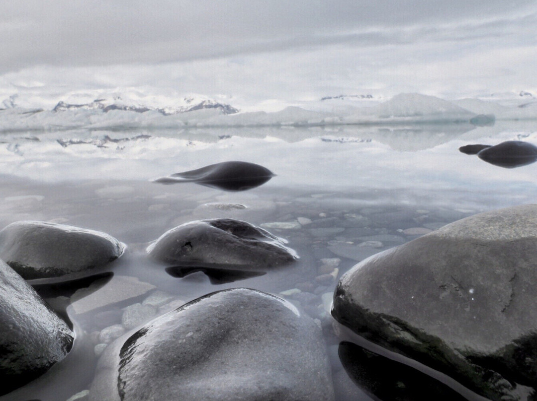 Snorri Gunnarsson Photography Workshops and Tours-雷克雅未克必去景点