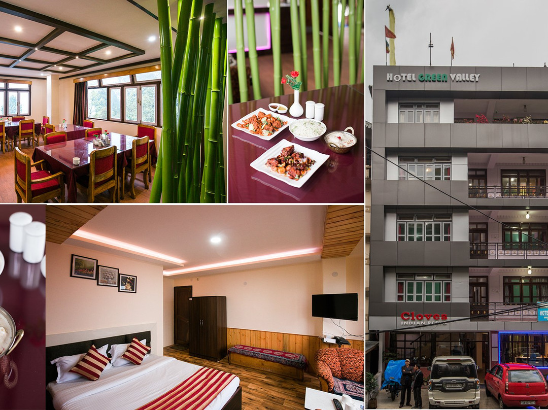 Geyzing酒店住宿-Hotel Green Valley