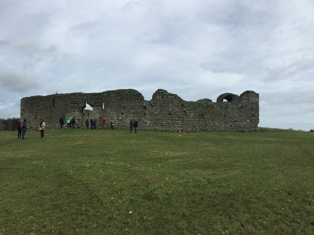 Ballymoon Castle-County Carlow必去景点