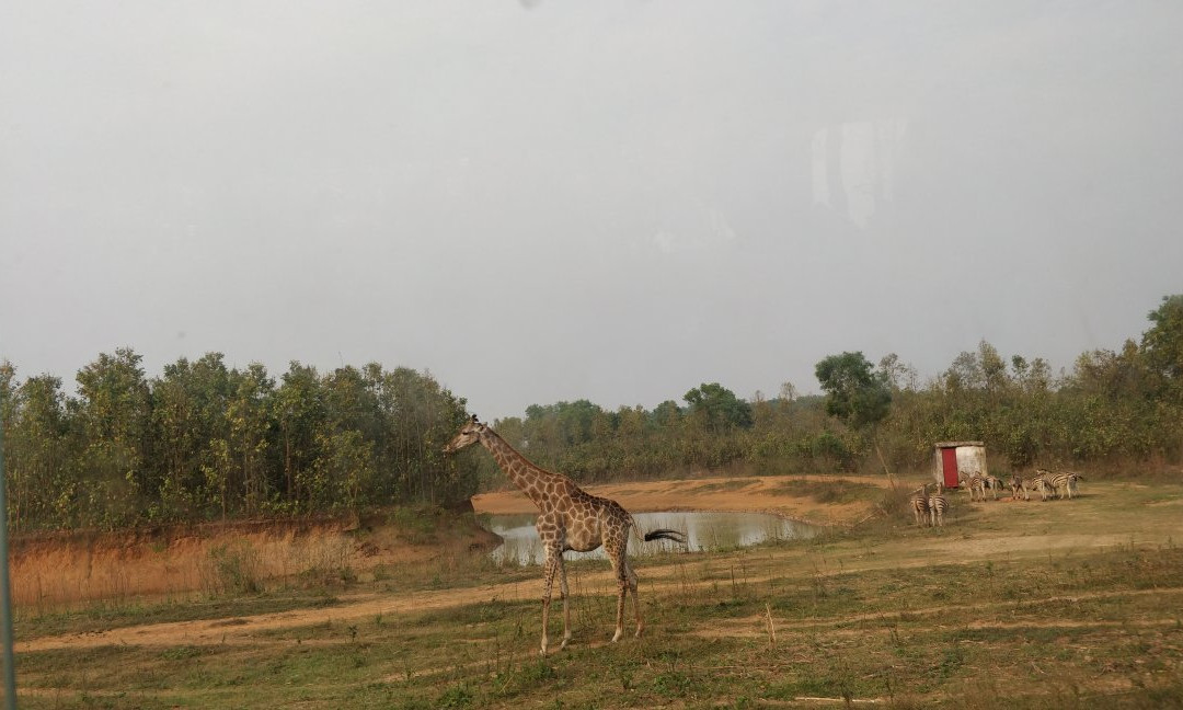 Bangabandhu Safari Park景点图片