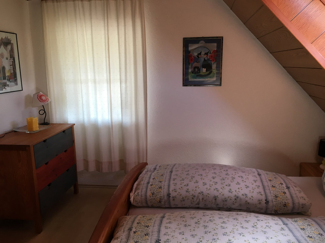 Berggasthaus Kandelhof主图