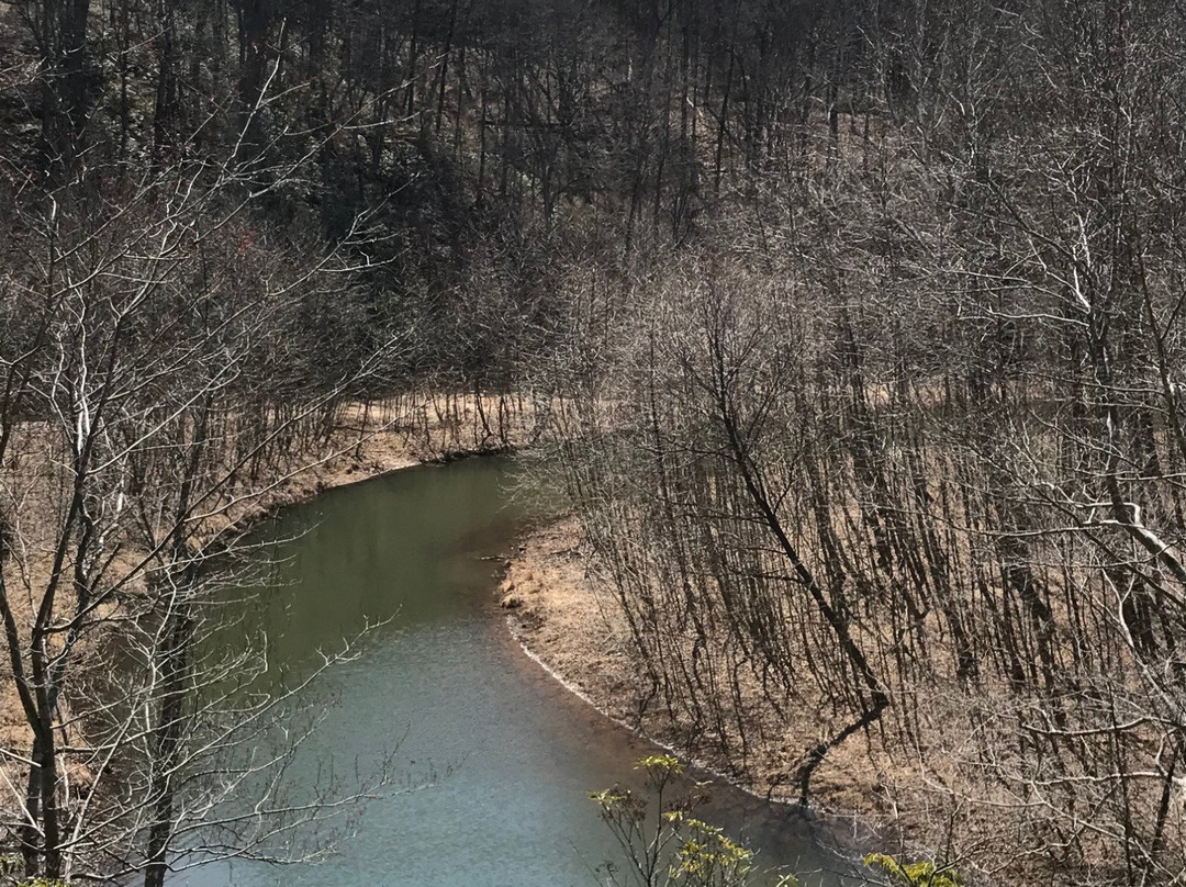 Ivy Creek Natural Area-夏洛茨维尔必去景点