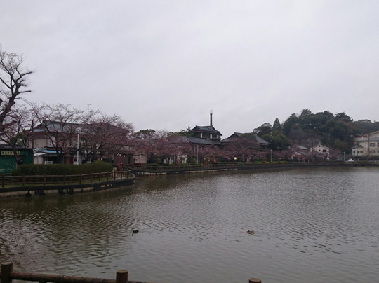 Lake Hakkaku-东金市必去景点