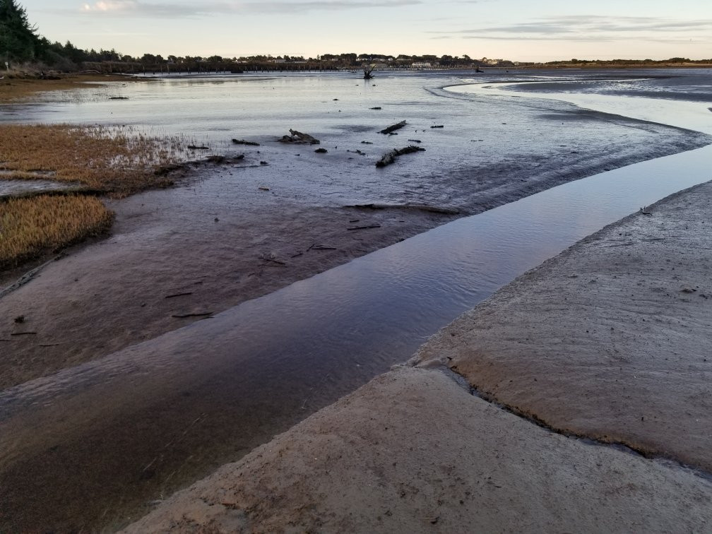 Bandon Marsh National Wildlife Refuge-班登必去景点