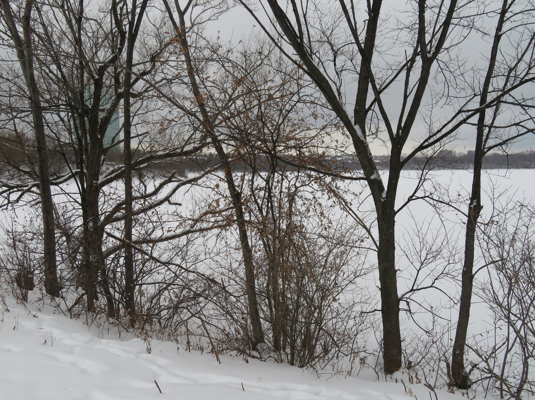 Parc du Lac Leamy-加蒂诺必去景点
