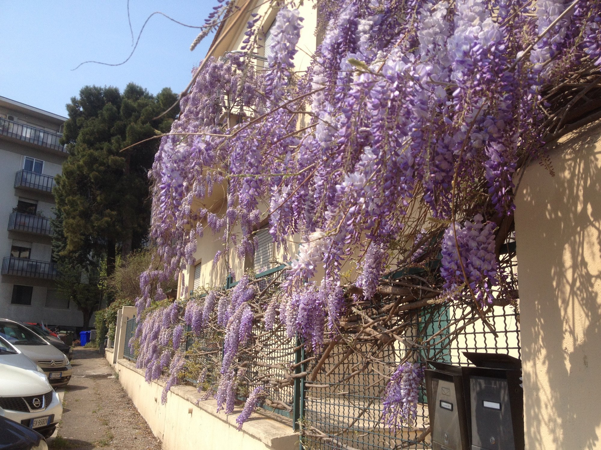 B&B Casa Martina Pescara Centro-官方