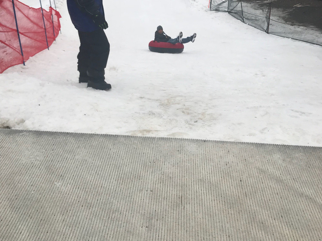 Ski Big Bear-Lackawaxen必去景点