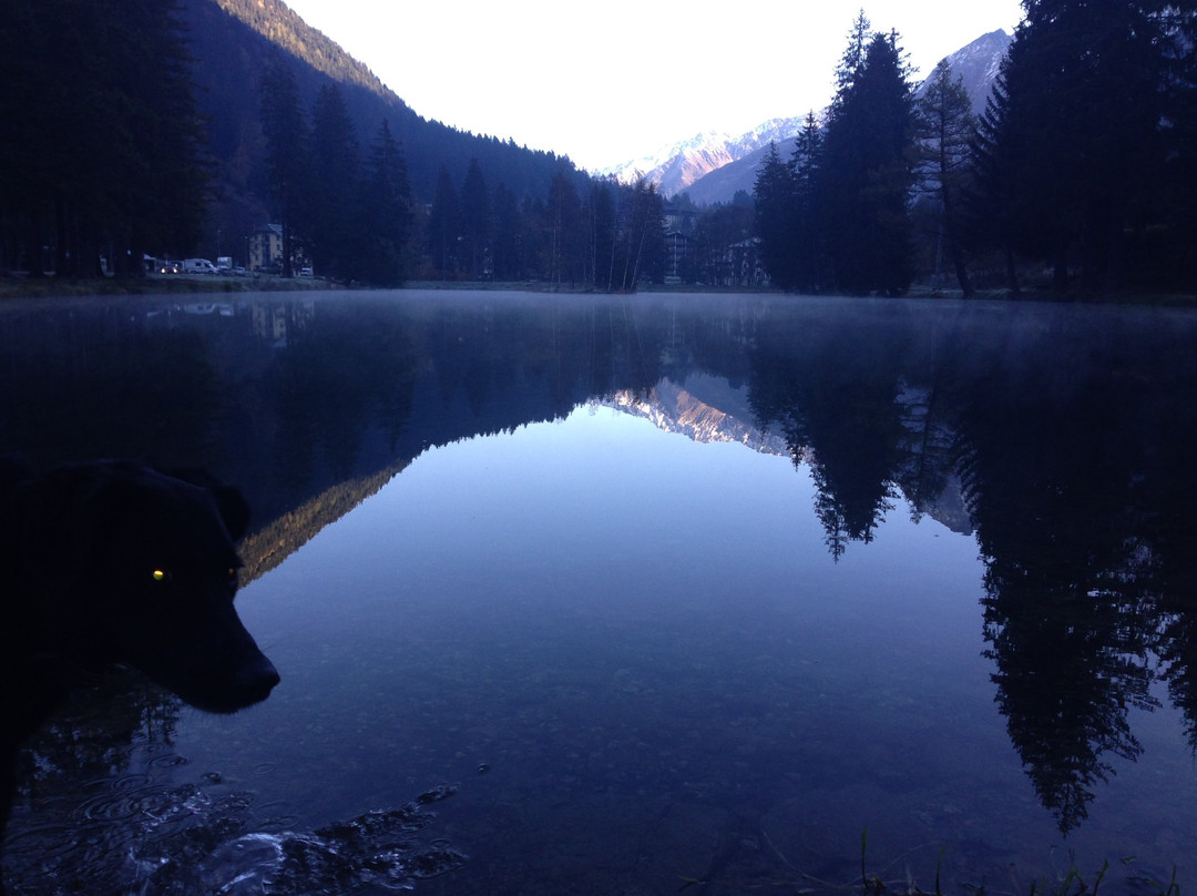 夏雷弗雷纳酒店主图