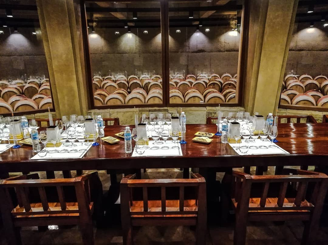 Mendoza Wine Transfers-门多萨必去景点