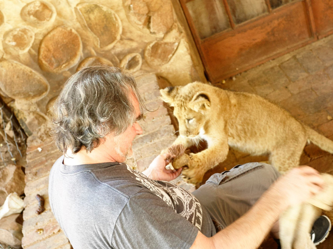 MBIDI Resort & Animal Sanctuary-米德尔堡必去景点