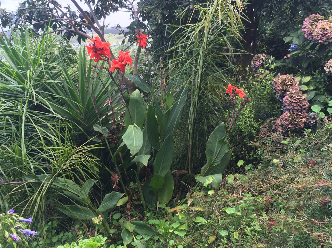 Tohora View Bed & Breakfast主图