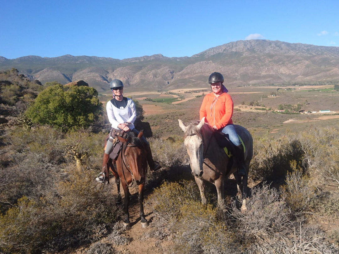 Heidiland Horseback Adventures-蒙提古必去景点