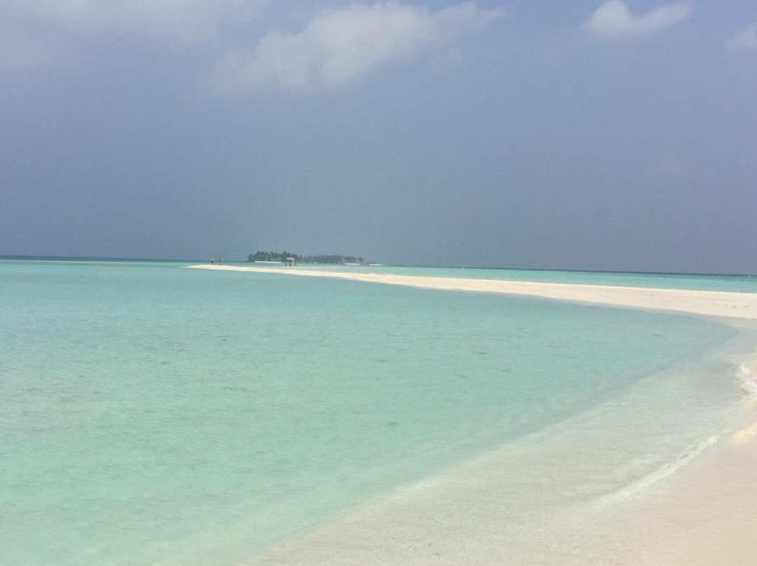 Diving Adventure Maldives景点图片