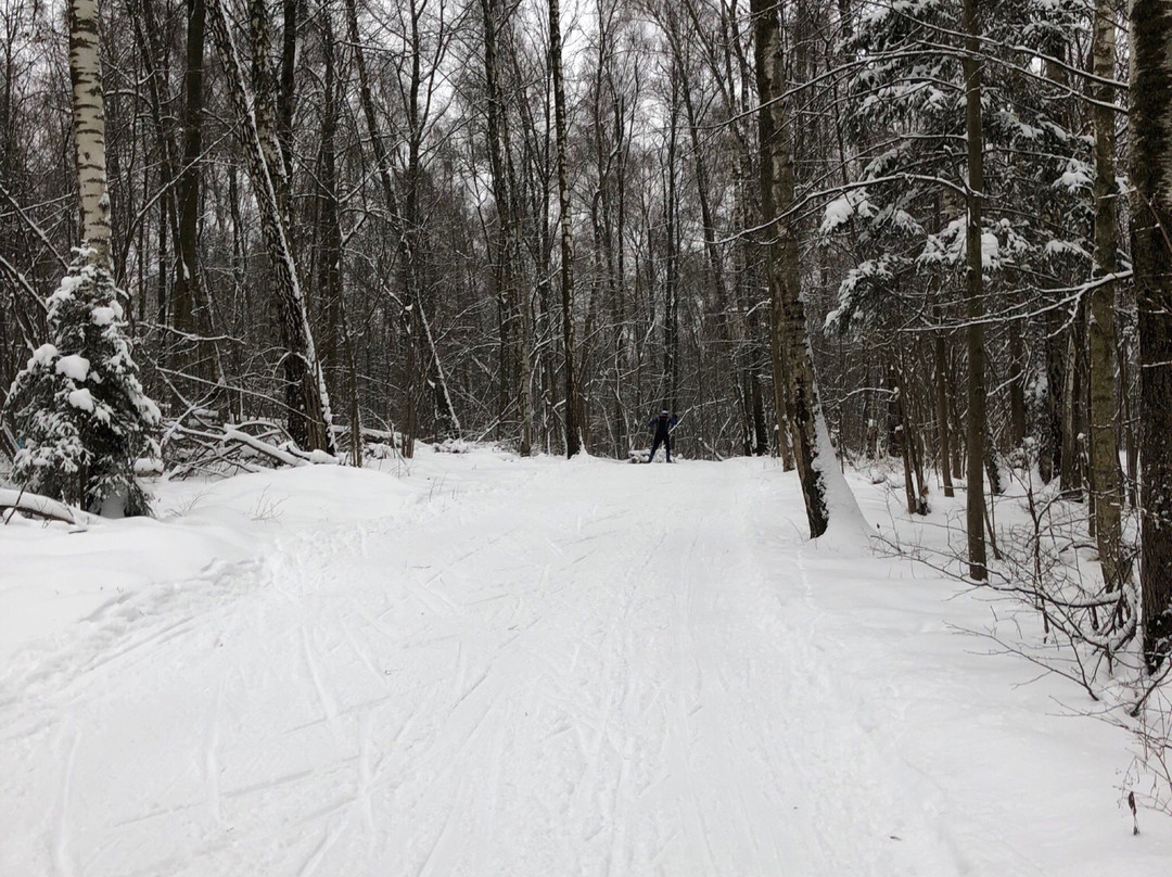 Sport Club Alfa-Bittsa-莫斯科必去景点