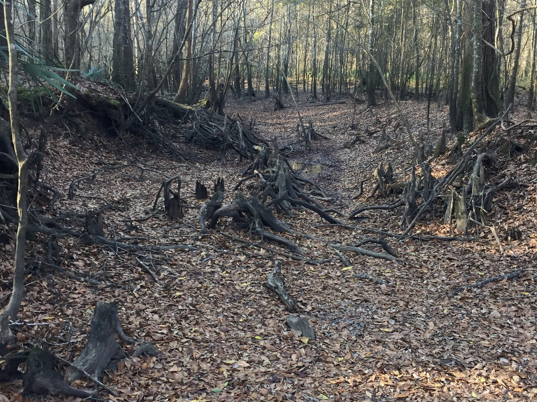 Bellamy Bridge Heritage Trail-Marianna必去景点