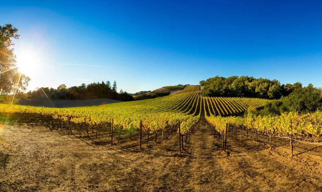 Notre Vue Estate Winery & Vineyards景点图片