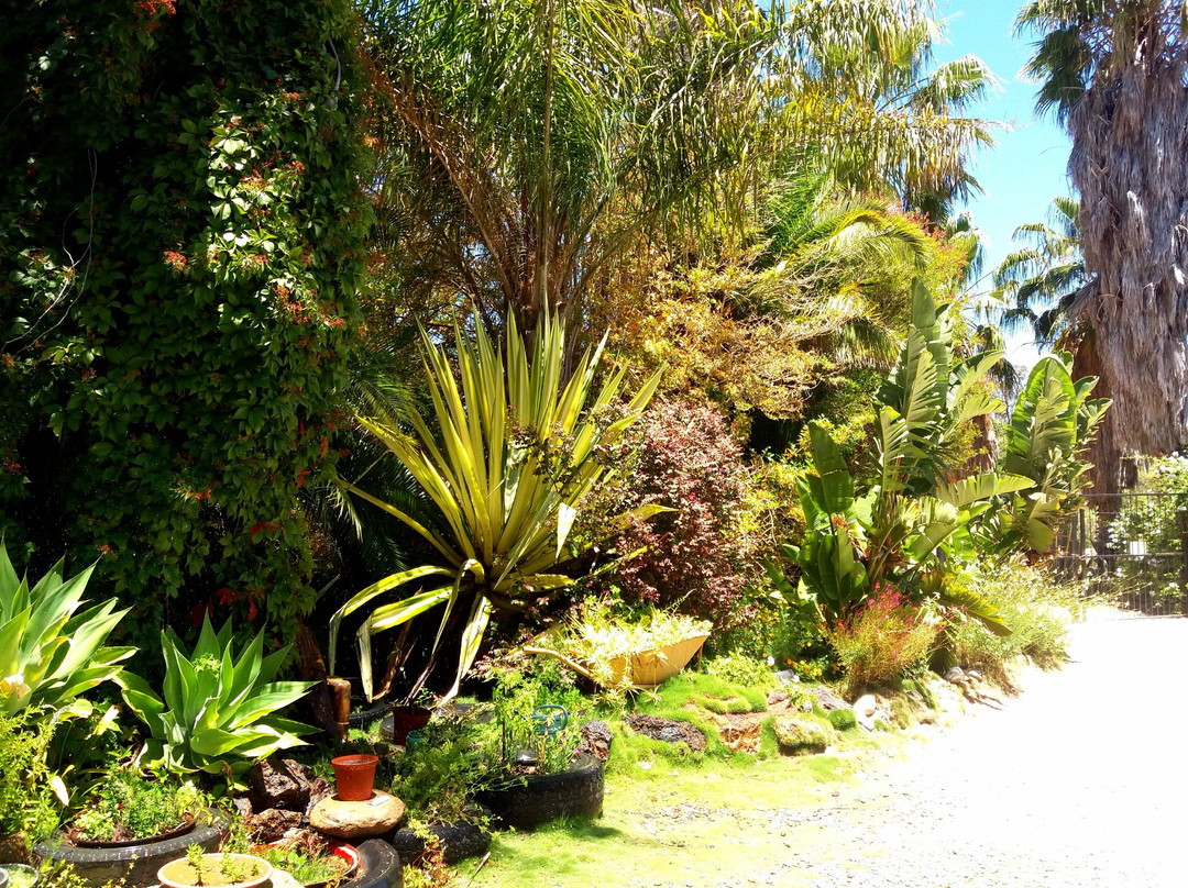 22 Nama - Karoo Bed and Breakfast CC主图