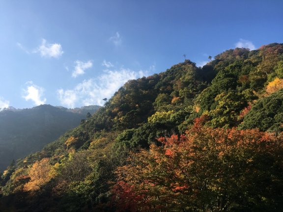 奥之细道旅馆-酒店景观