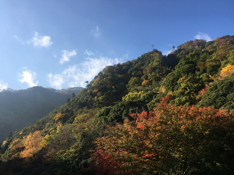 奥之细道旅馆主图