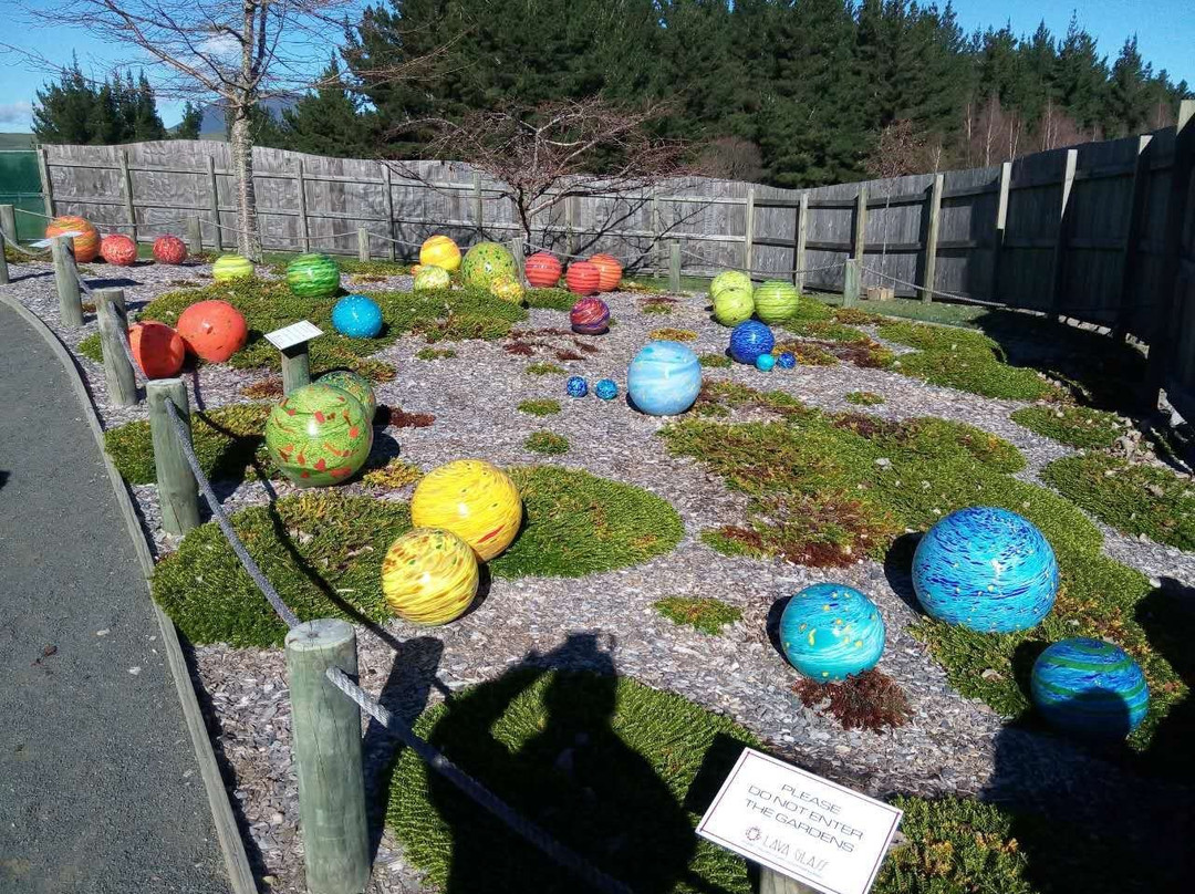 Real Kiwi Tours景点图片