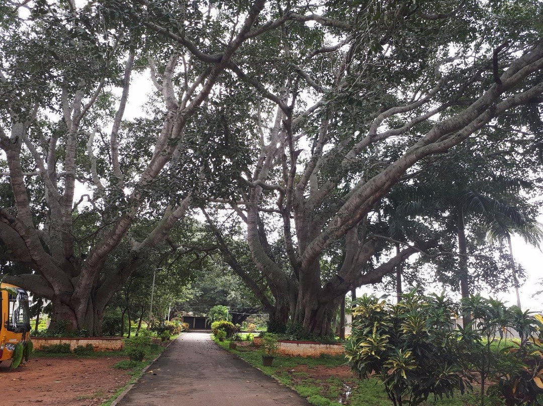 Hesaraghatta Lake-班加罗尔必去景点